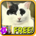 Positive Cat Slots - Free