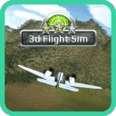 3D Flight Sim