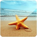 3D Starfish