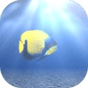 Ocean Water 3D HD LWP Trial