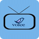 Viet Voice Media