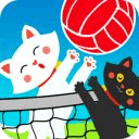 Cat Volleyball