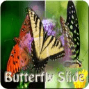 Butterfly Games Slide