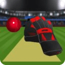 TapCatch Cricket 2