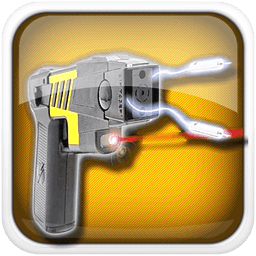 Taser Gun