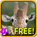 3D Thoughtful Giraffe Slots