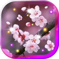 Sakura Gallery live wallpaper