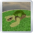 Turtle Pet3D