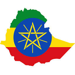 Ethiopian News TV