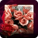 Rose Heart Live Wallpaper