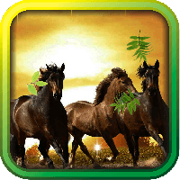 Horses Sunset live wallpaper