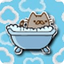 Flying Bathtub Cat