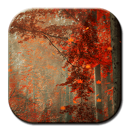 Forest Autumn Free LWP