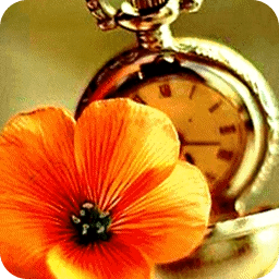 Clock Flower Live Wallpaper