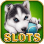 Diamond Dogs FREE SLOTS ...