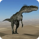 Dinosaur Puzzle Collection