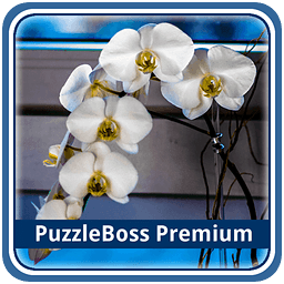 Orchid Flower Jigsaws FR...