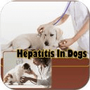 Hepatitis In Dogs