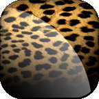 Leopard Print Live Wallpaper