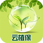 云植保