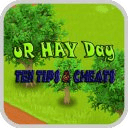 uR-HAY DAY TEN TIPS