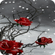 Winter Thorns Live Wallpaper