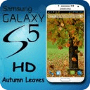 Galaxy S5 Autumn HD Wallpaper