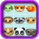 Onet Animal Face