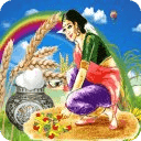 Sankranti ( Pongal)