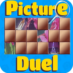 Picture Duel