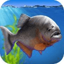 Piranha Aquarium 3D