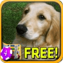 3D Golden Retriever Slots