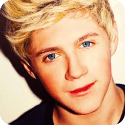 Niall Horan One Direction New