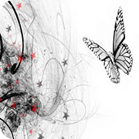 White Butterfly Wallpapers