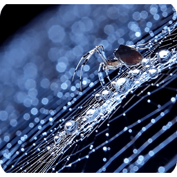 Rain Drops Live Wallpaper LWP