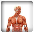 Anatomy Quiz App - FREE