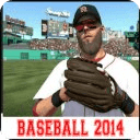 Baseball 2014