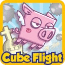 Cube Flight