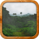 Tropical Rain: Relax &amp; Sleep