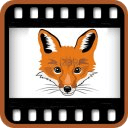 Fox Movies : Hollywood Movies