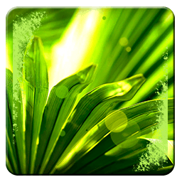 HD Xperia Green Wallpapers