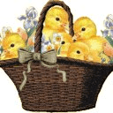 Easter Chicks Live Wallpaper