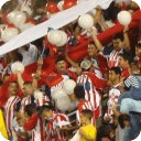 Chivas USA Fan