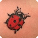 Tattoo Ladybird Theme