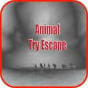 Animal Try Escape