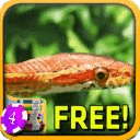 Snake Slots - Free