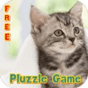 American Shorthair Puzzle Game