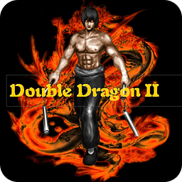 Double Dragon2