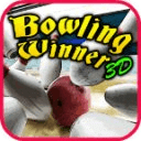 Bowling Winner 3D