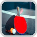 Ping Pong Pro